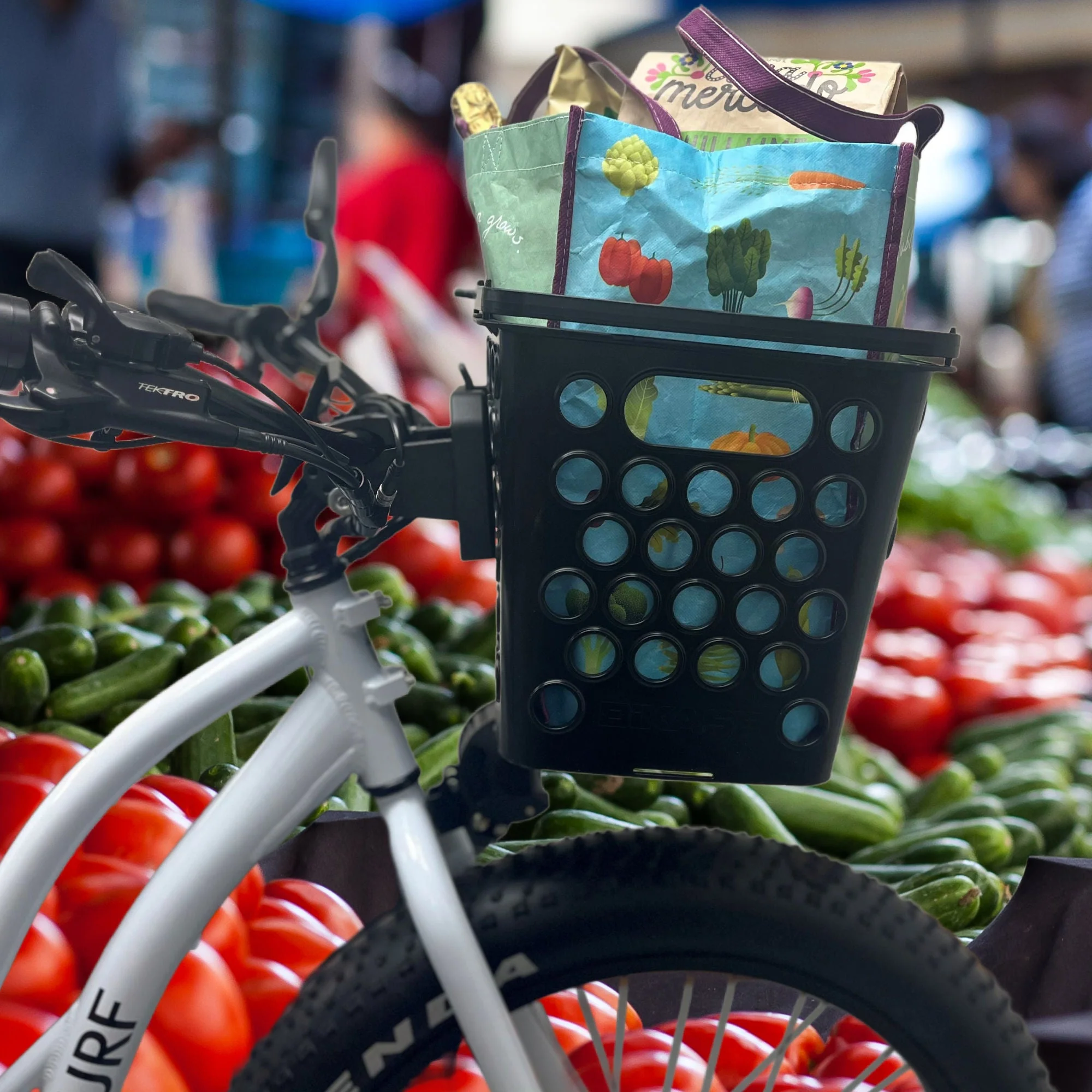 Thumbnail 12